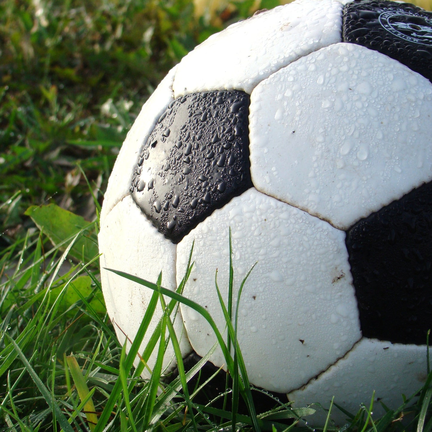 Ballnadeln für Ballpumpe 15 Stück