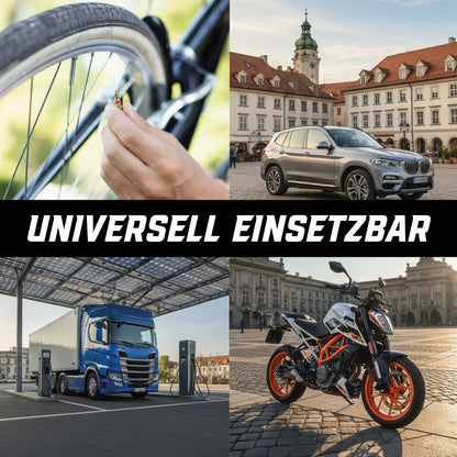 Schrader Ventileinsätze Set 33-teilig